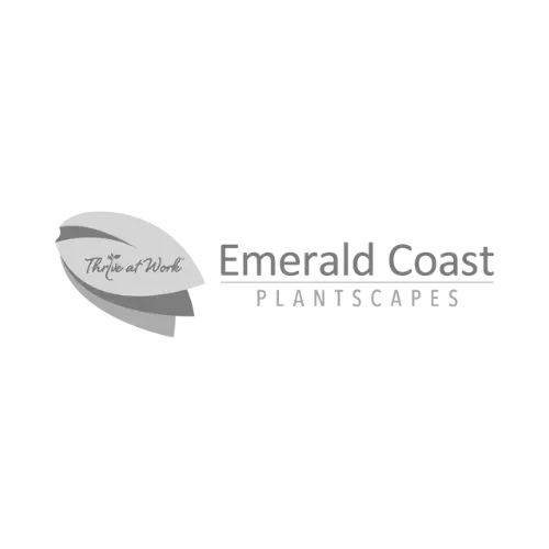 Logo ECP b and w